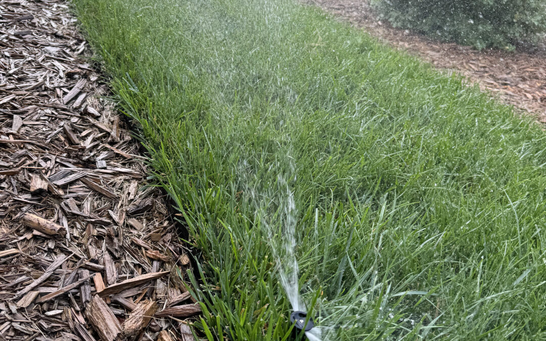 Why Eden Prairie Homeowners are Upgrading to Smart Irrigation in 2026