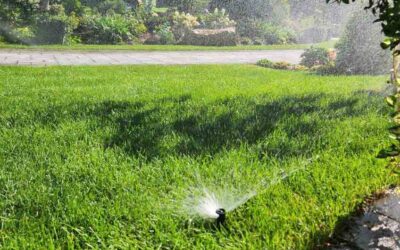 Why Choose the B-hyve Controller for your Irrigation System in Bloomington, Eden Prairie, MN