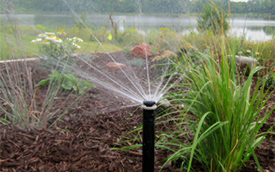 Why Mr. Rain Irrigation Chooses Hunter Heads for Repairs and Installations