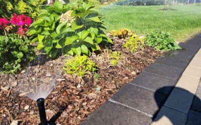 Why Hiring a Professional for Your Irrigation Start-Up Saves You Money (Even If You Can Do It Yourself)