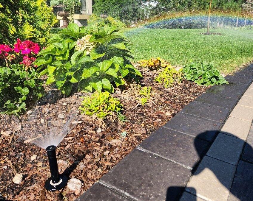 Why Hiring a Professional for Your Irrigation Start-Up Saves You Money (Even If You Can Do It Yourself)